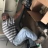 The Kates Home Photos  2019